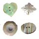 Shell Buttons